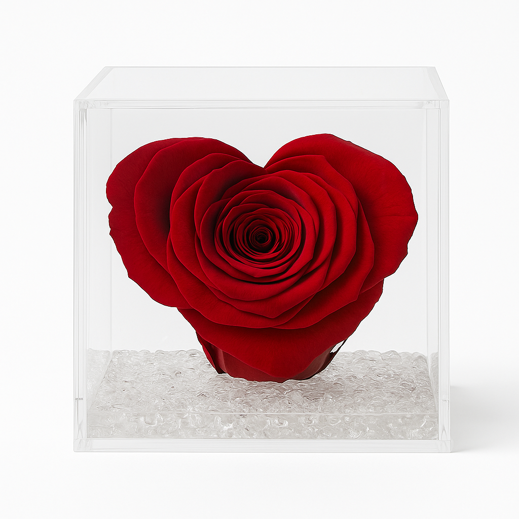 Rosa Stabilizzata a Cuore Grande in Cubo Plexiglass dimensione 14x14
