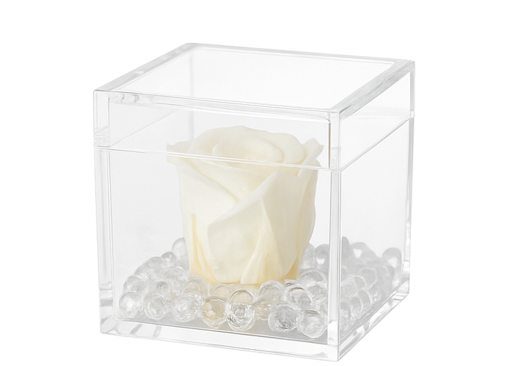 Rosa Stabilizzata Dimensioni 6x6 Più varianti