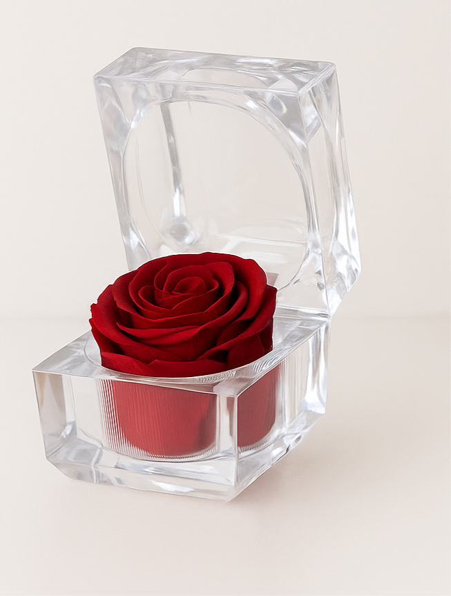 Rosa Stabilizzata Rossa in Cofanetto Trasparente