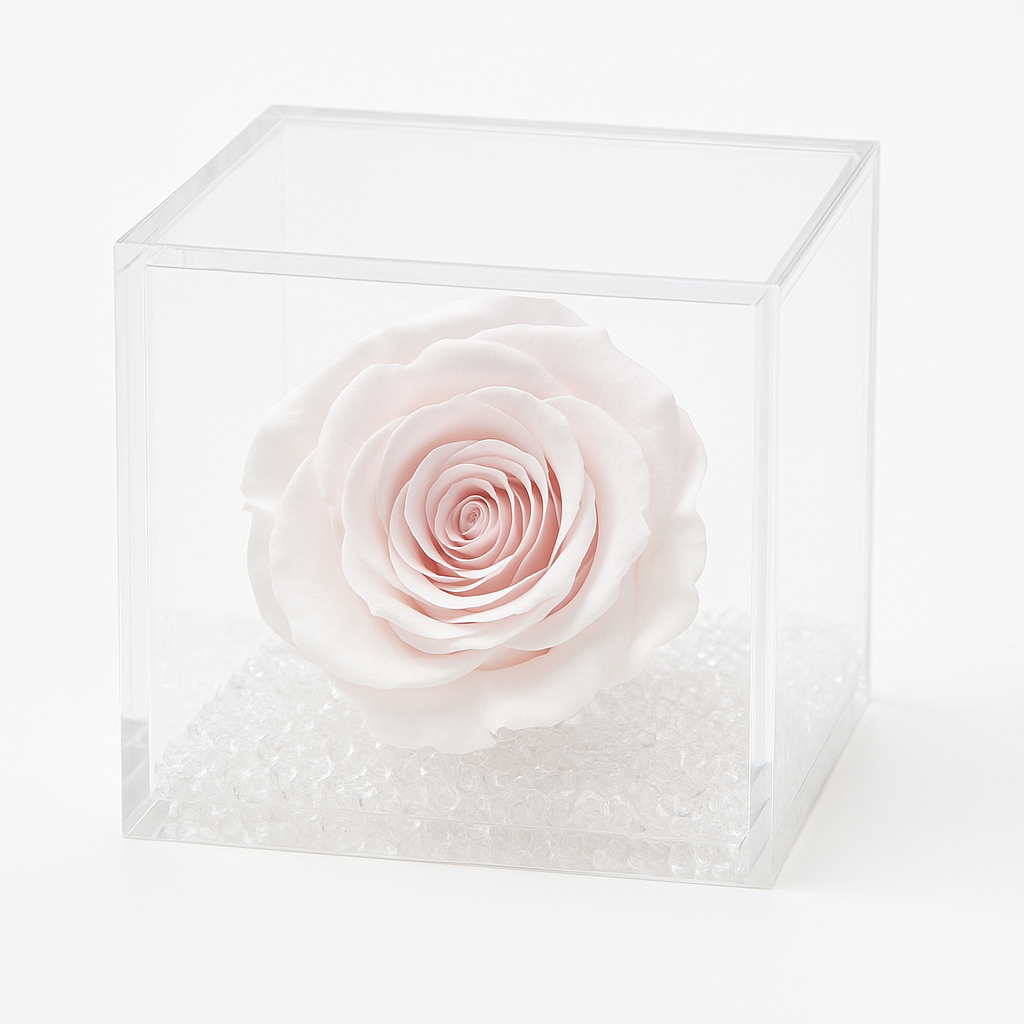 Rosa stabilizzata bianca dimensioni 8x8