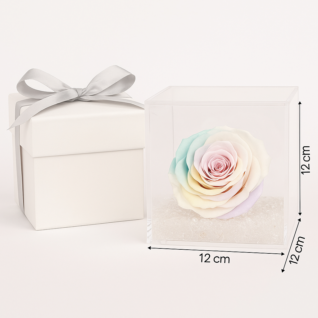 Rosa stabilizzata multicolor dimensione grande 14x14