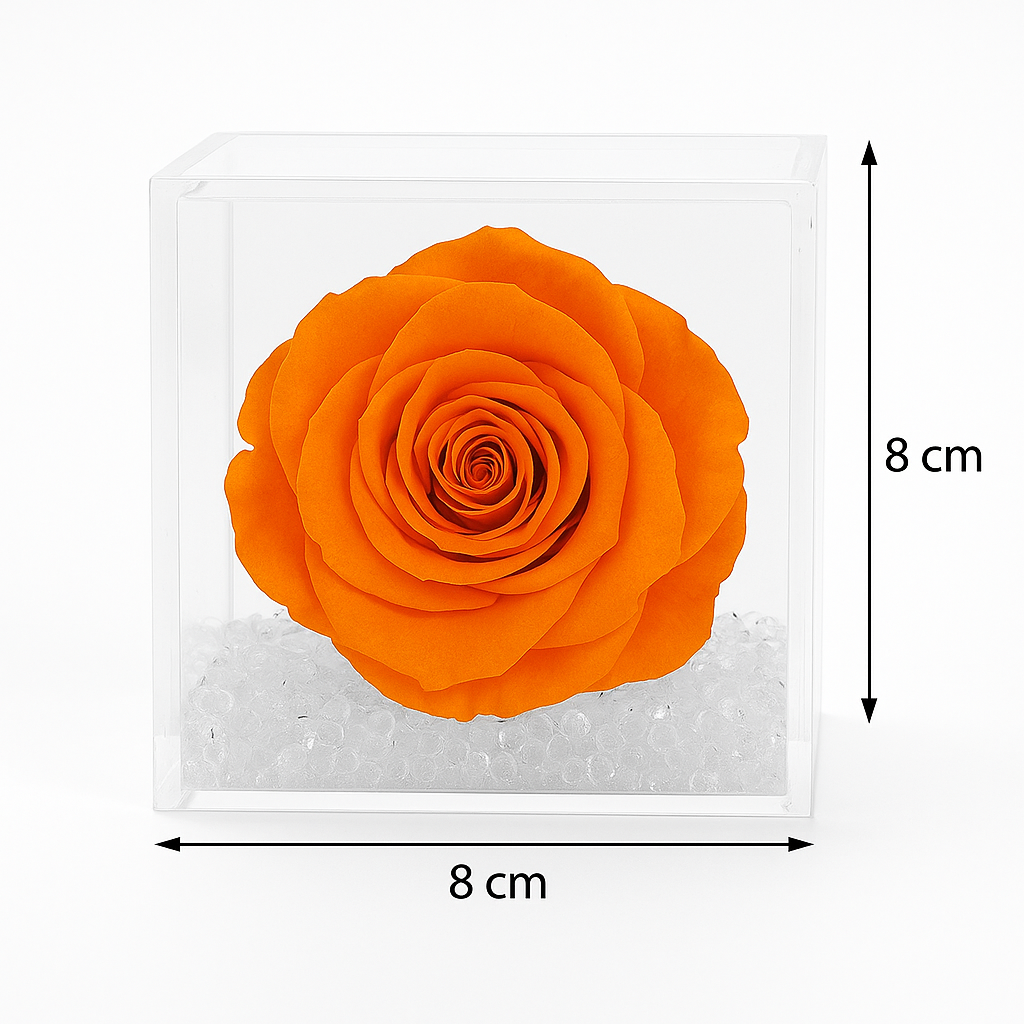 Rosa Stabilizzata Arancione dimensioni 8x8
