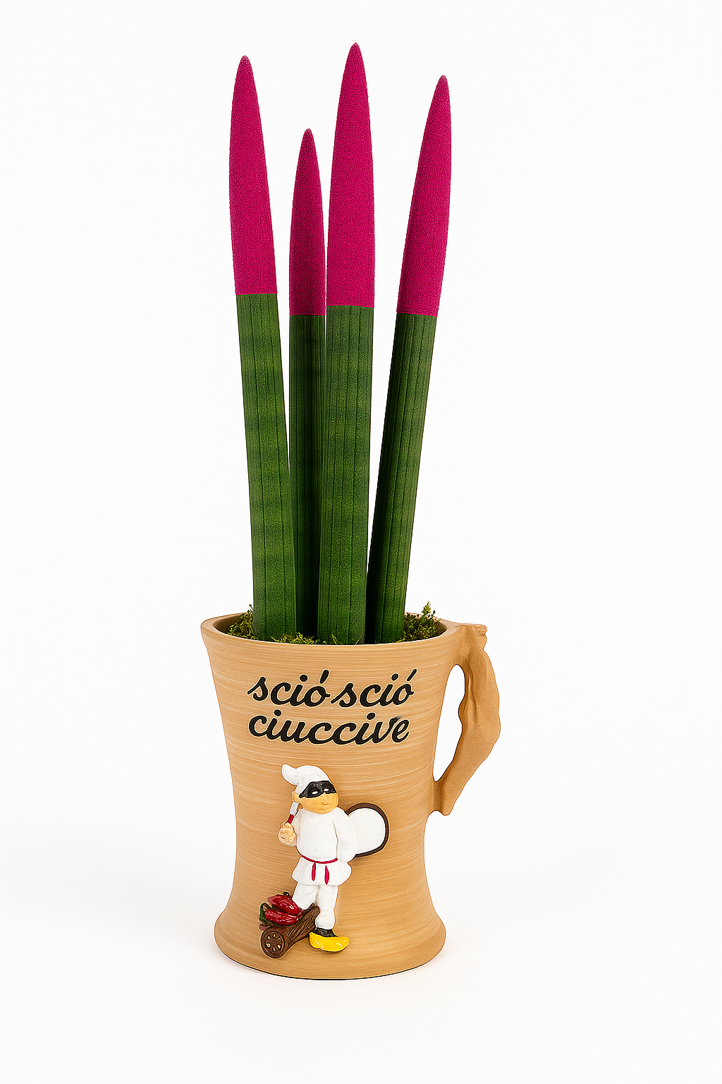 Sansevieria in vaso Napulè