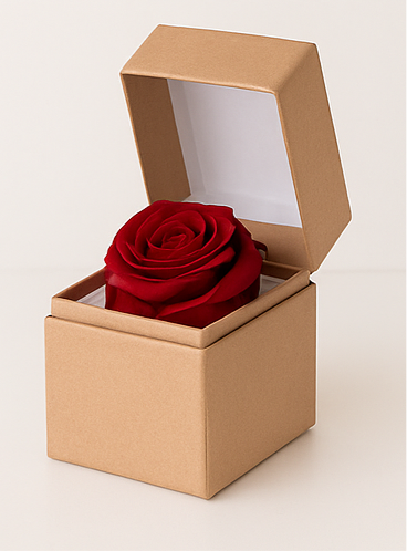 Rosa Stabilizzata Rossa in Cofanetto Trasparente