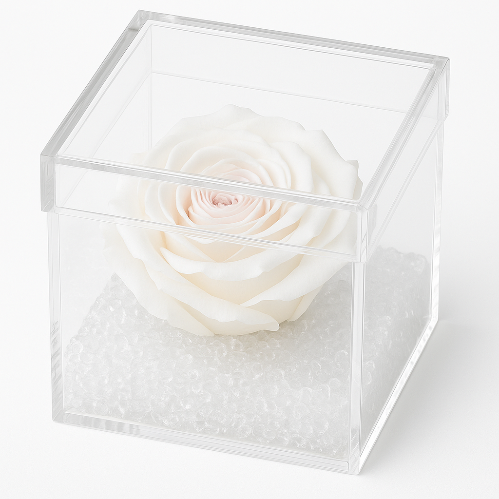 Rosa stabilizzata bianca dimensioni 8x8