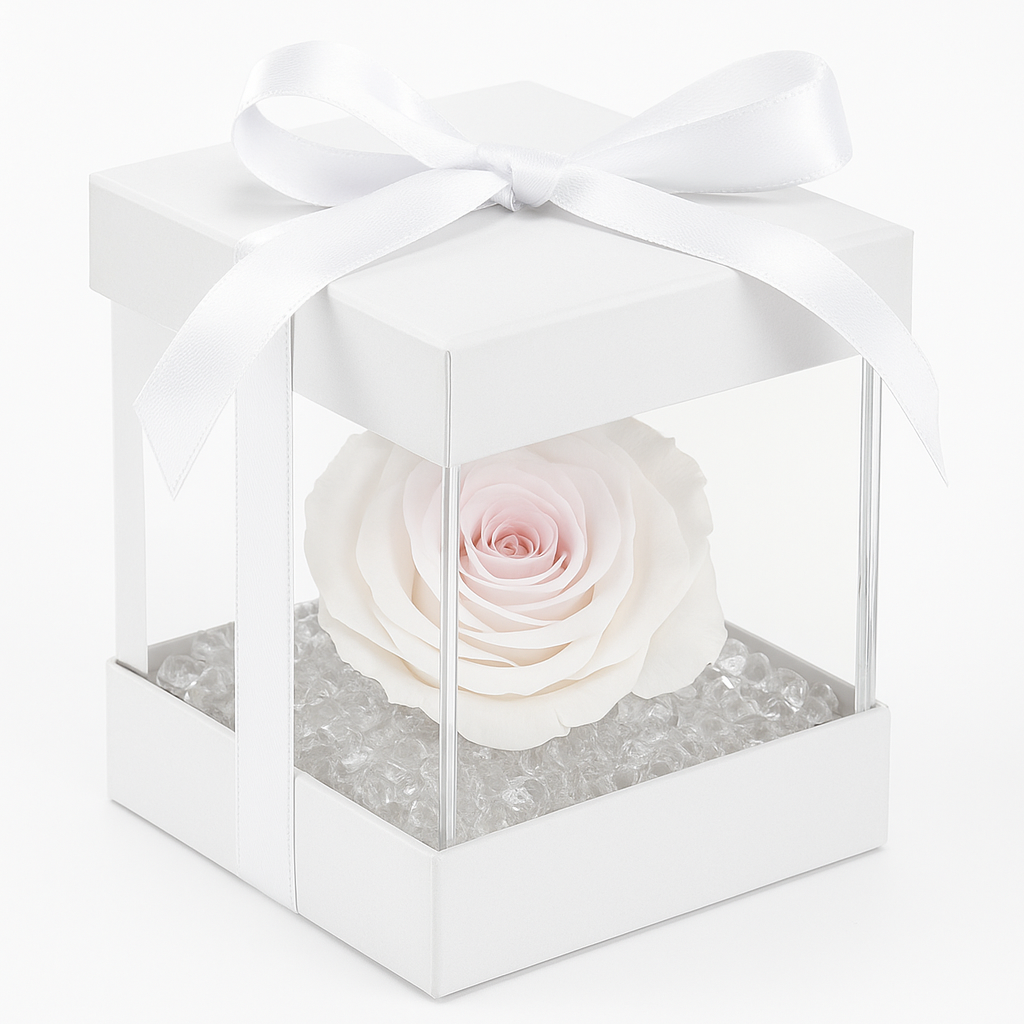 Rosa stabilizzata bianca dimensioni 8x8