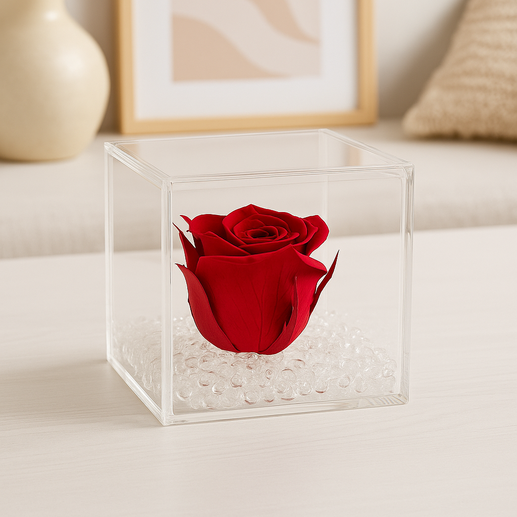 Rosa stabilizzata mini baby 4x4
