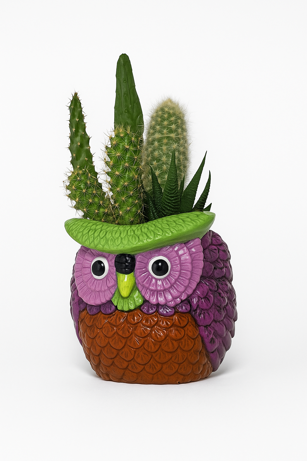 Vaso Gufo con Piante Grasse