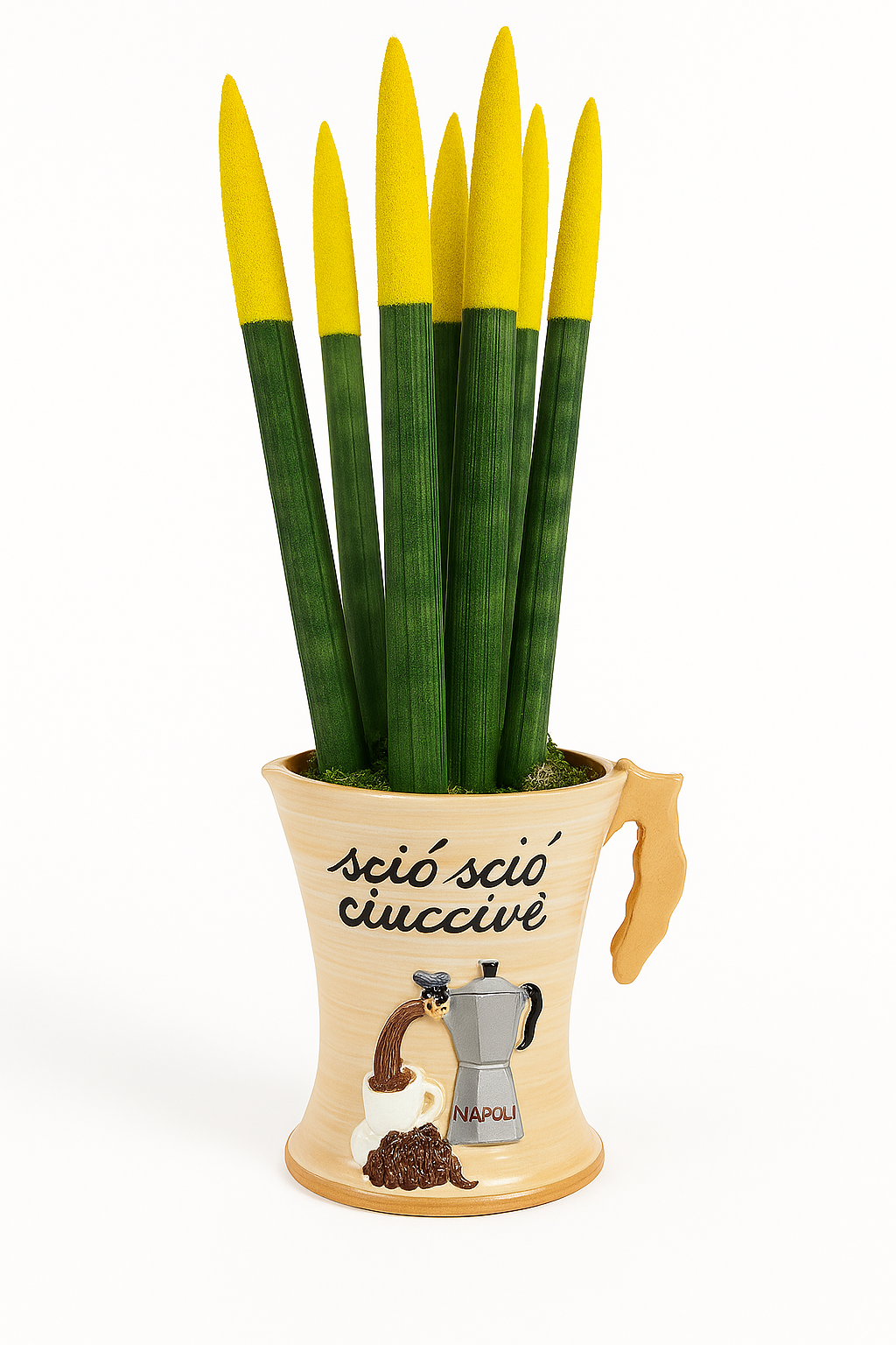Sansevieria in vaso Napulè
