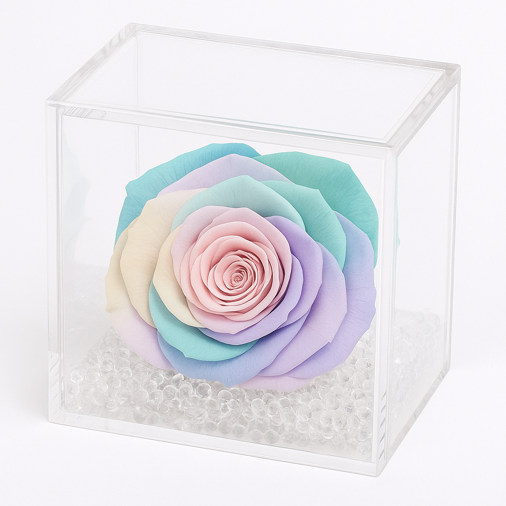 Rosa stabilizzata multicolore 8x8