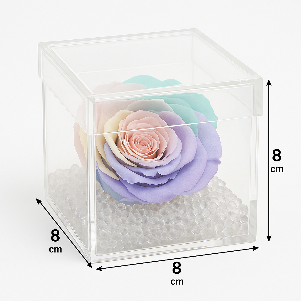 Rosa stabilizzata multicolore 8x8