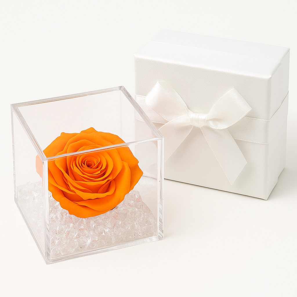 Rosa Stabilizzata Arancione dimensioni 8x8