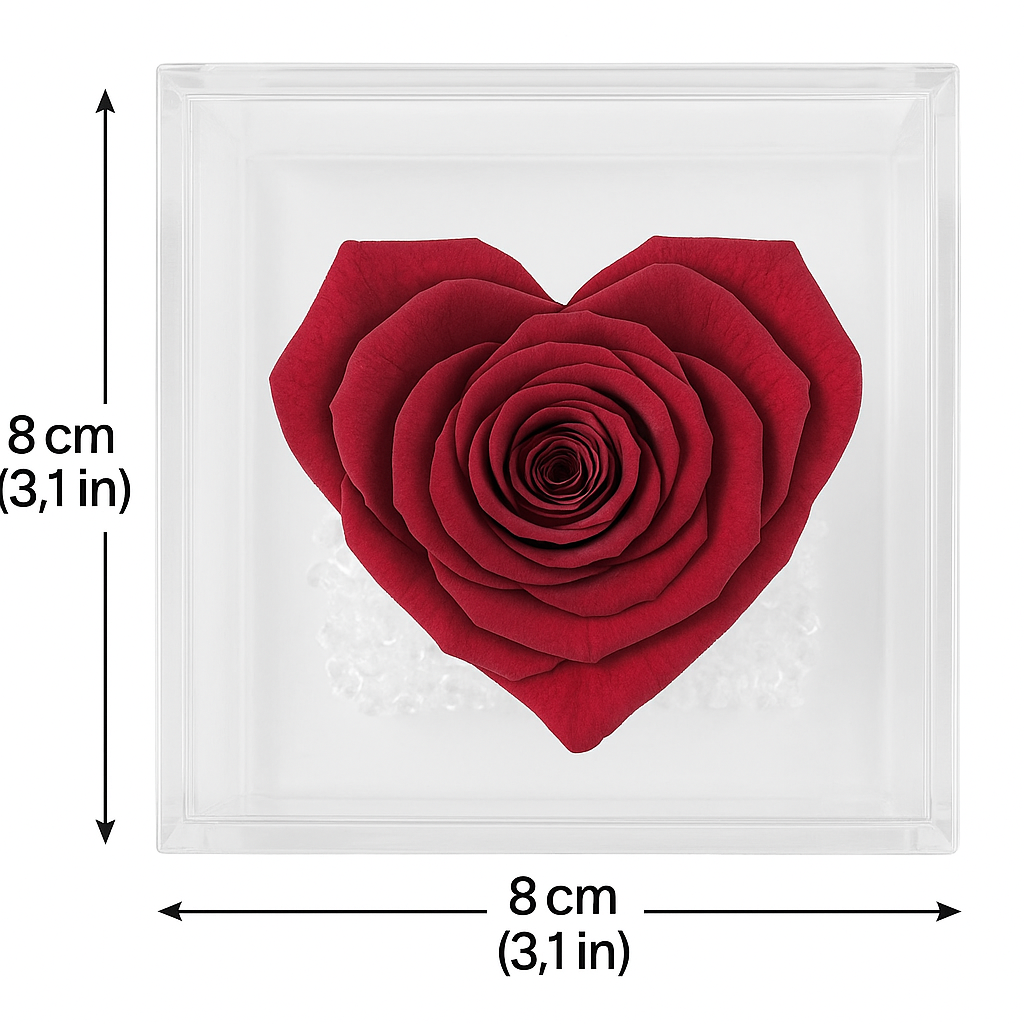 Rosa stabilizzata cuore rosso dimensioni 8x8