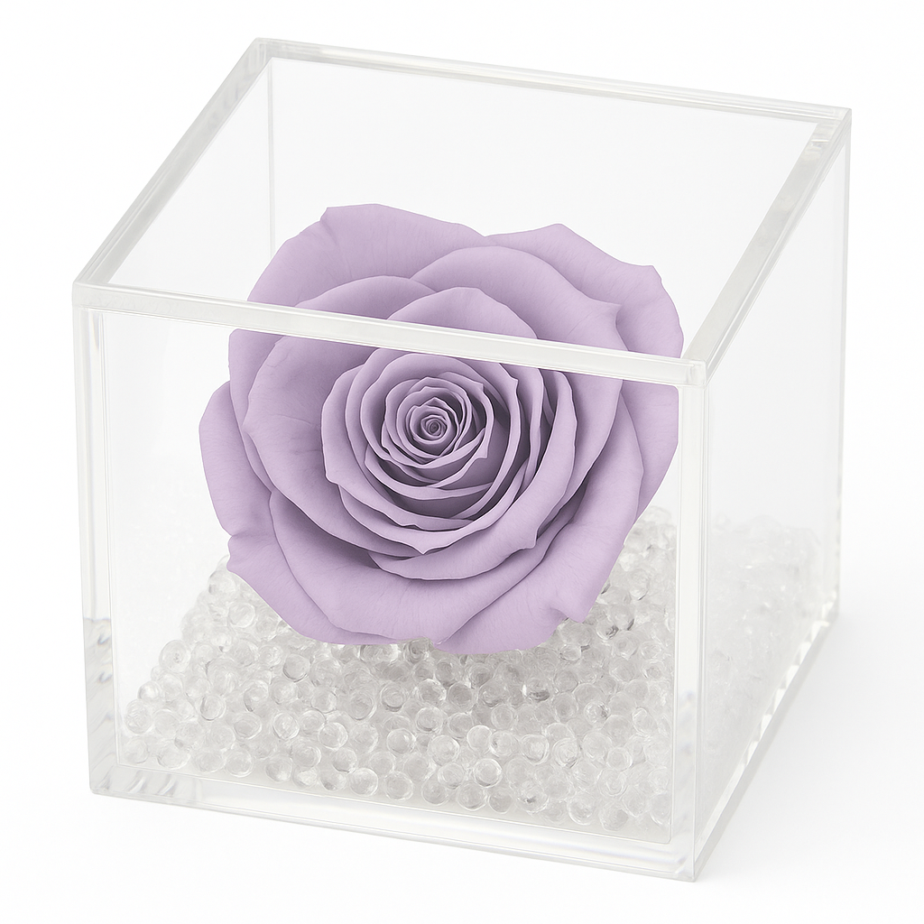 Rosa stabilizzata lilla dimensione 8x8