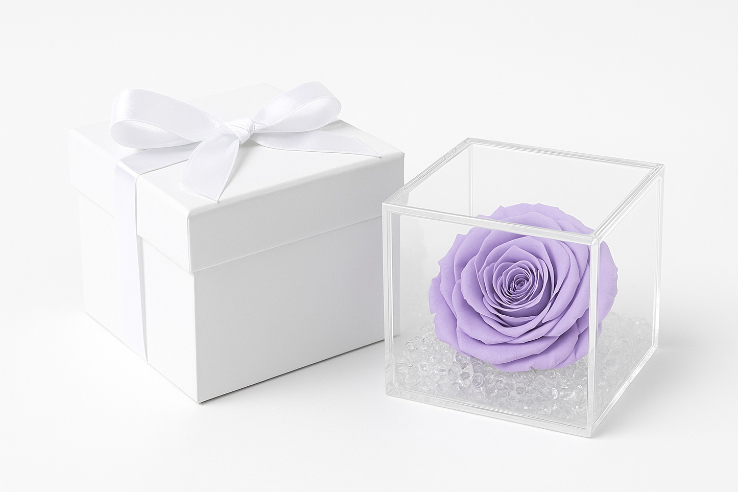 Rosa stabilizzata lilla dimensione 8x8