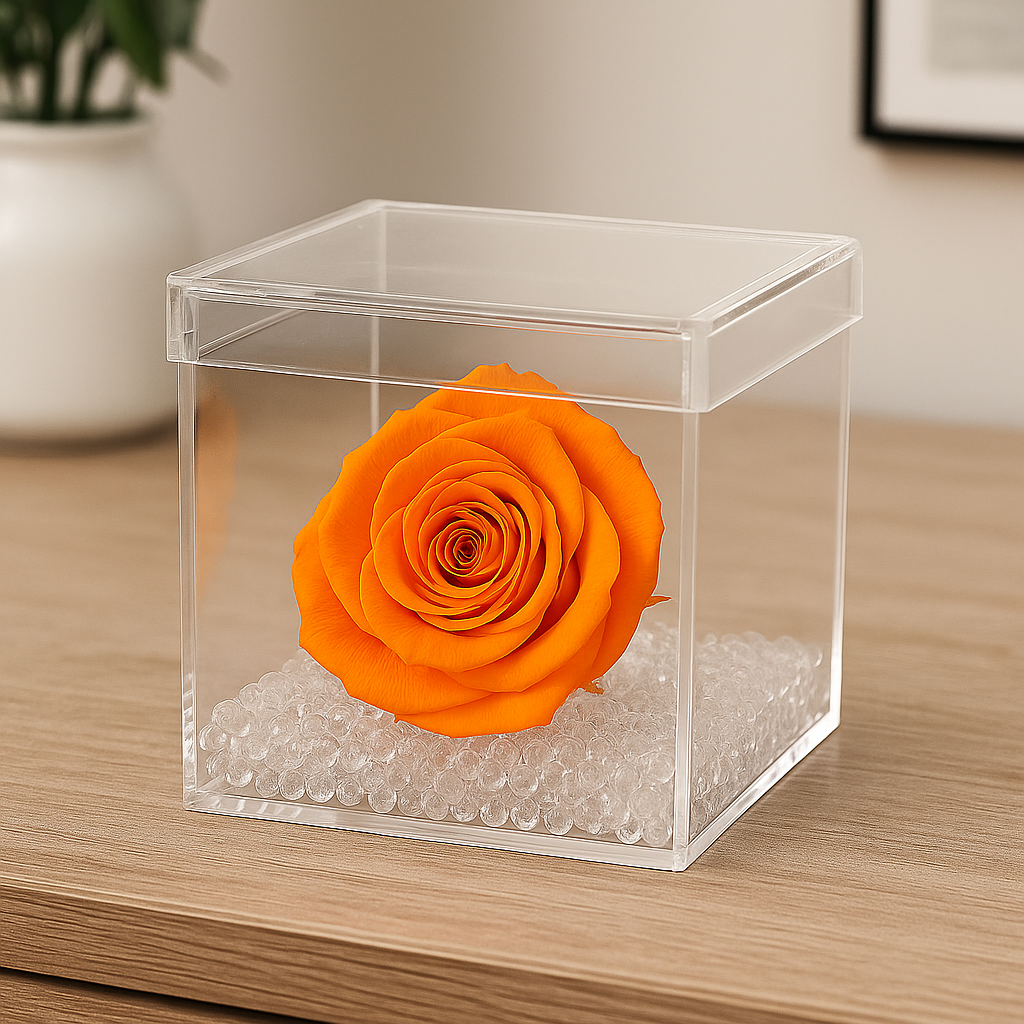 Rosa Stabilizzata Arancione dimensioni 8x8
