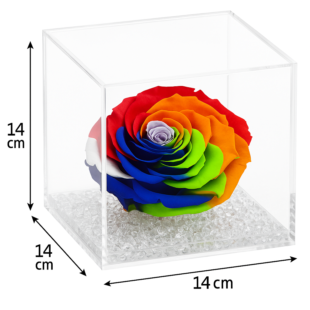 Rosa stabilizzata Multicolor dimensione 14x14