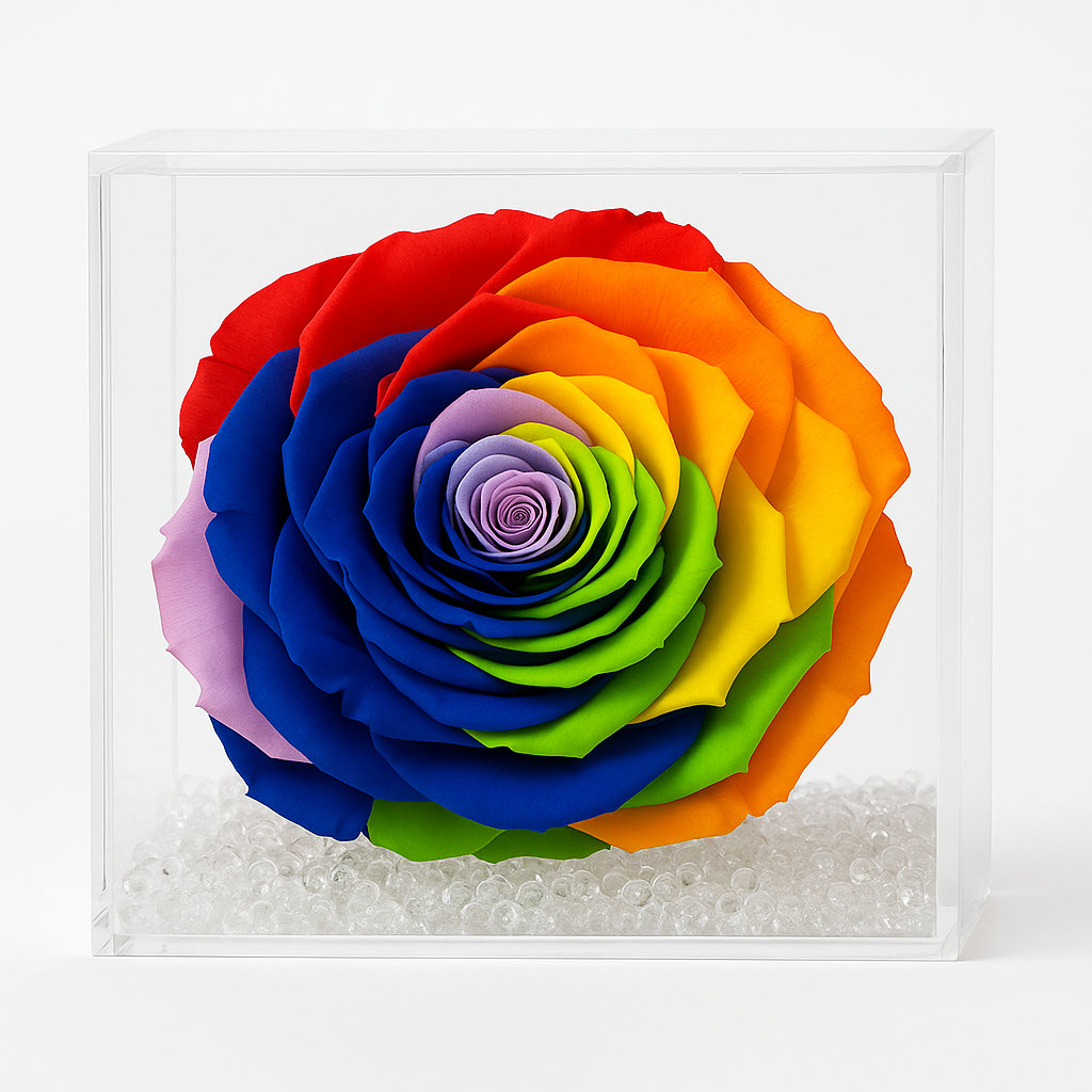 Rosa stabilizzata Multicolor dimensione 14x14