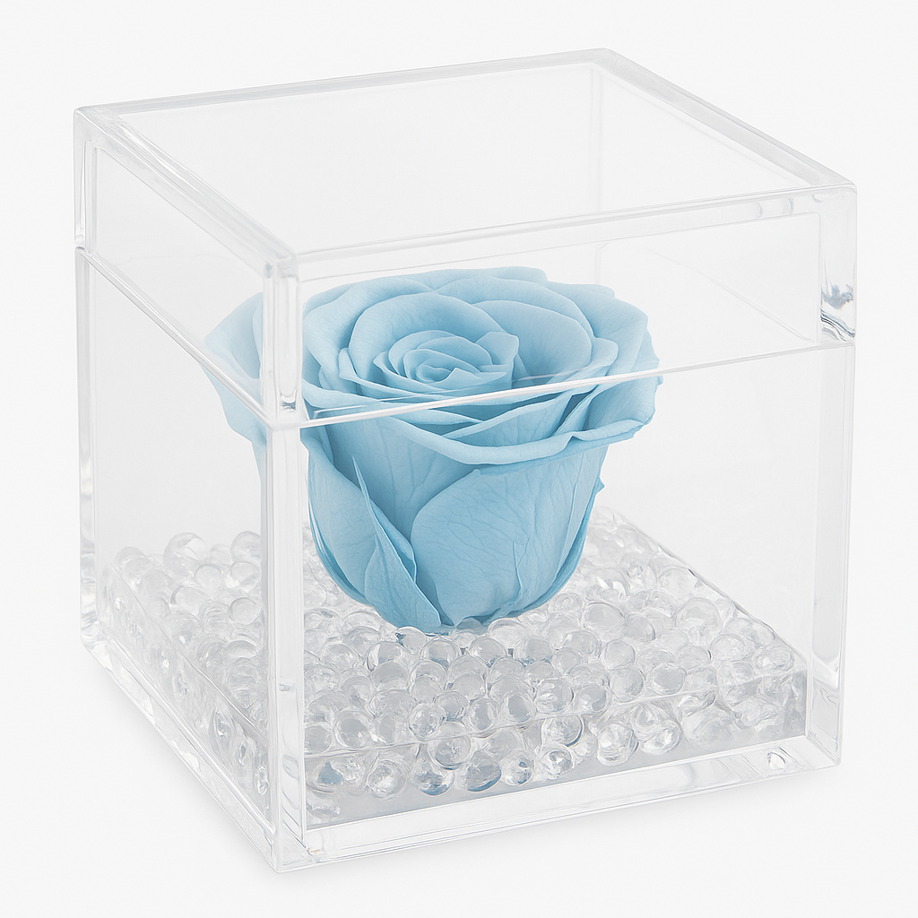 Rosa stabilizzata mini baby 4x4