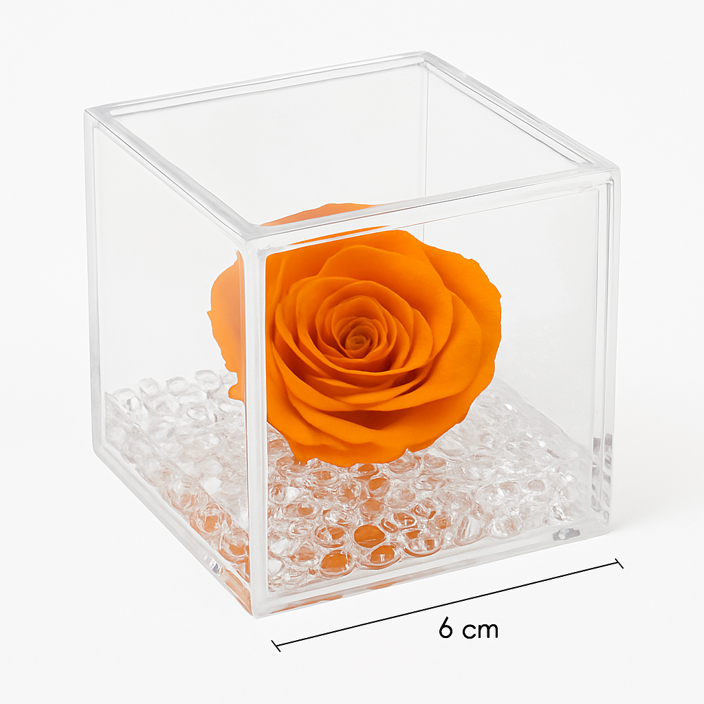 Rosa stabilizzata mini baby 4x4