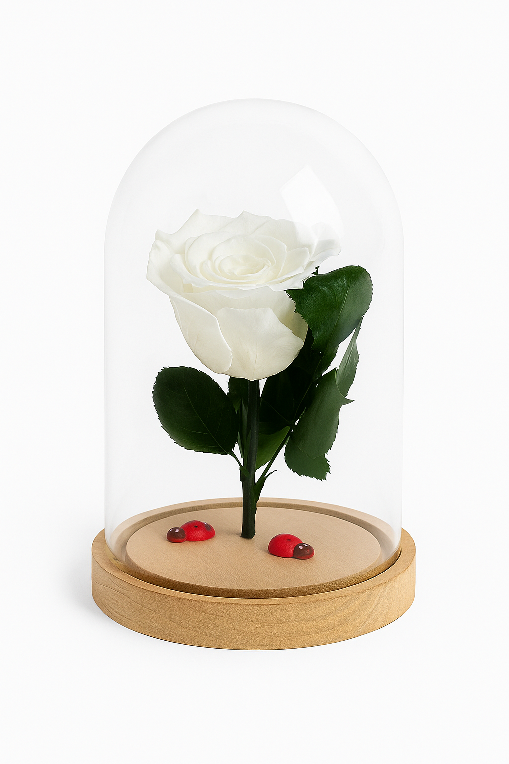Rosa Stabilizzata in campana di vetro disponibile in più colori