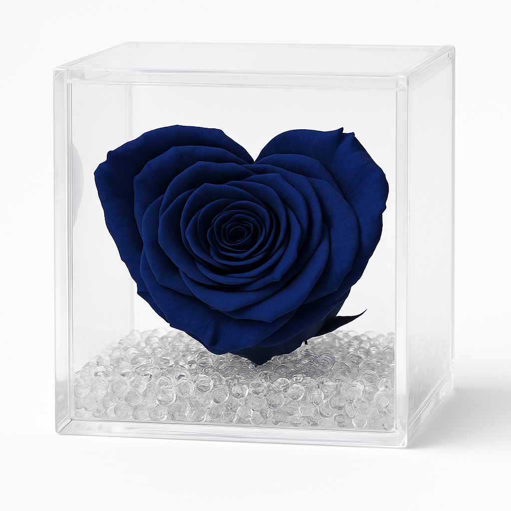 Rosa Stabilizzata a Cuore Grande in Cubo Plexiglass dimensione 14x14