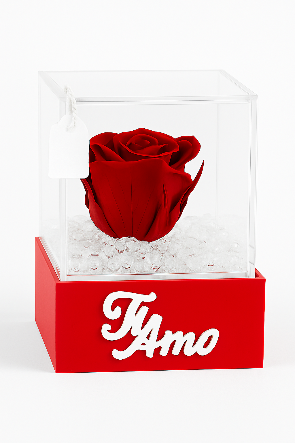 Rosa rossa stabilizzata in Cubo Ti amo