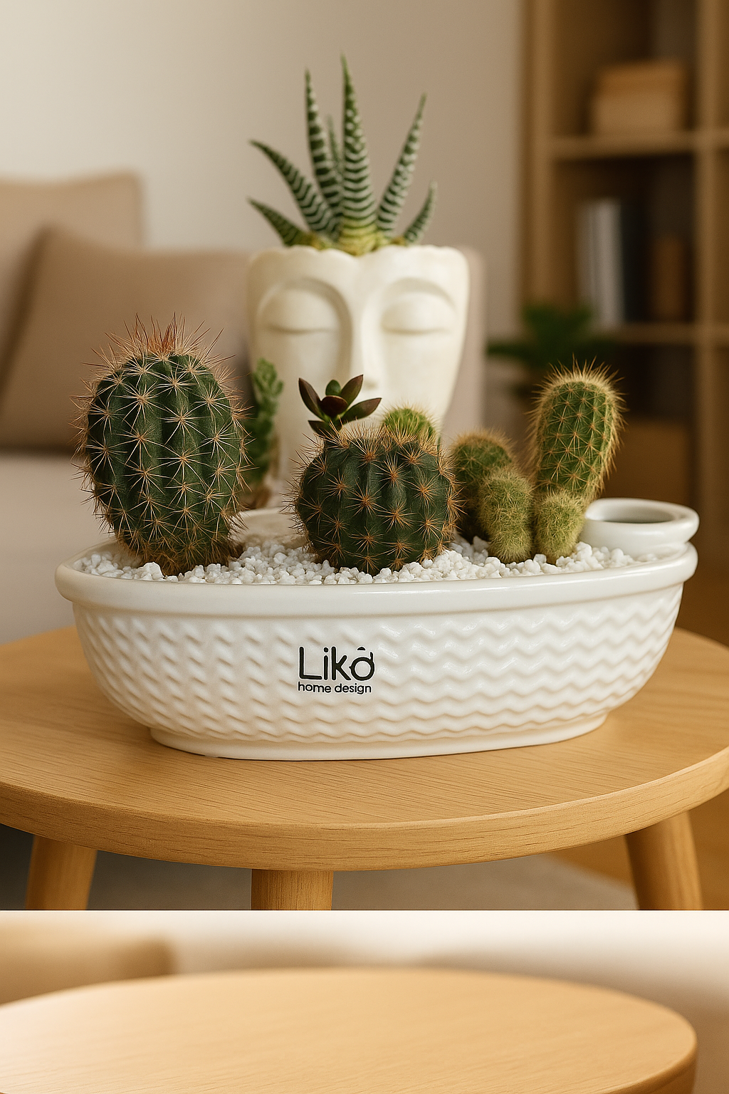 Composizione di Cactus in Vaso di Ceramica Bianca