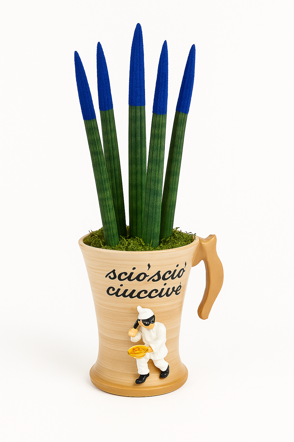 Sansevieria in vaso Napulè