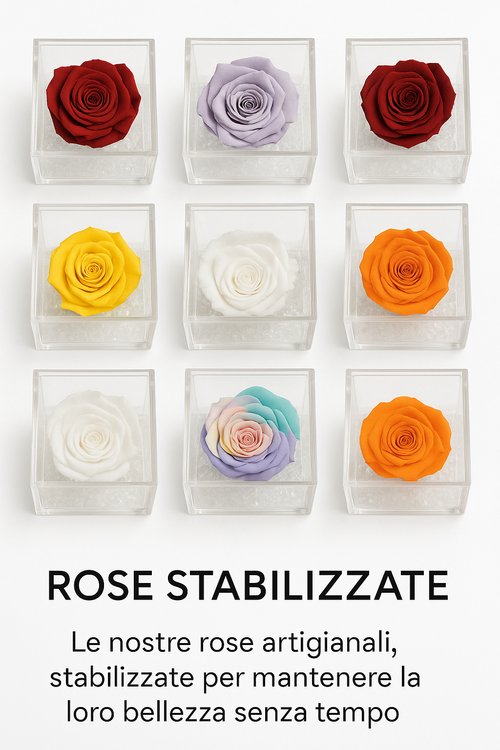 Rose stabilizzate