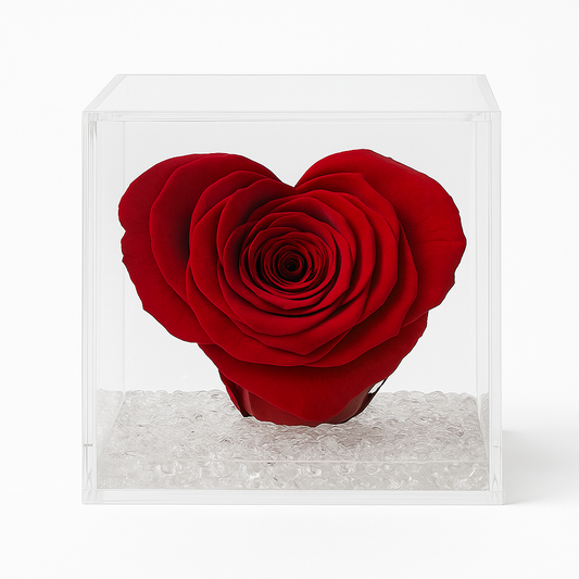 Rosa Stabilizzata a Cuore Grande in Cubo Plexiglass dimensione 14x14