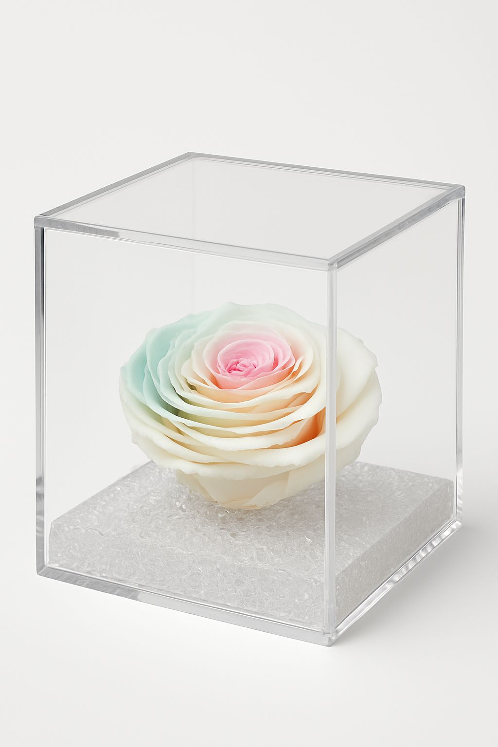 Rosa stabilizzata multicolor dimensione grande 14x14