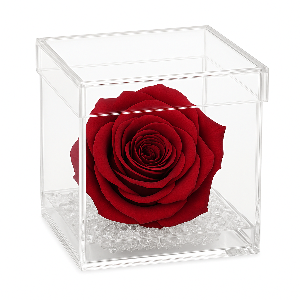 Rosa rossa Stabilizzata dimensione 8x8