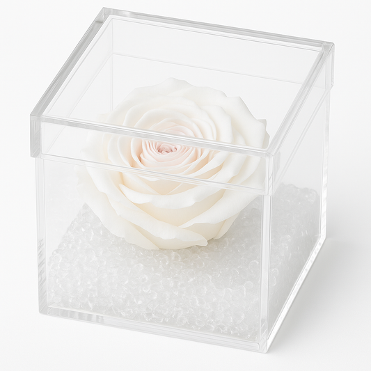 Rosa stabilizzata bianca dimensioni 8x8