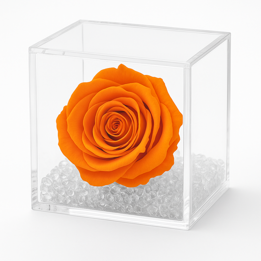 Rosa Stabilizzata Arancione dimensioni 8x8