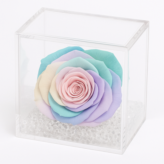 Rosa stabilizzata multicolore 8x8