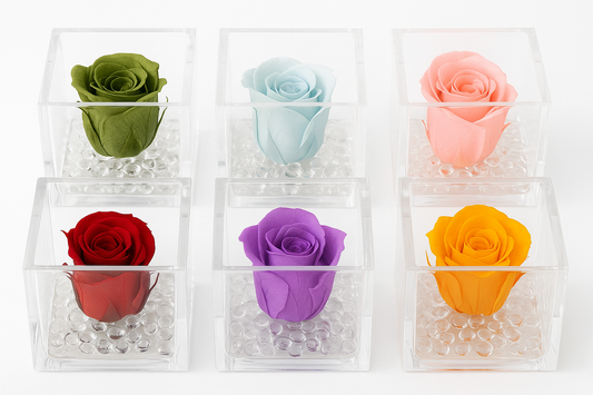 Rosa Stabilizzata Dimensioni 6x6 Più varianti