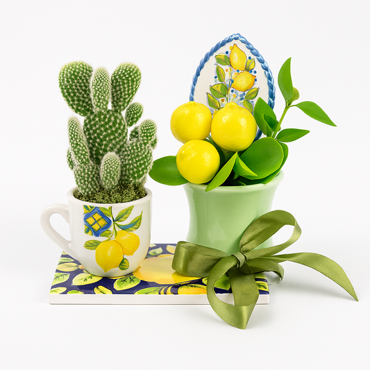 Pianta grassa Lemon Cup