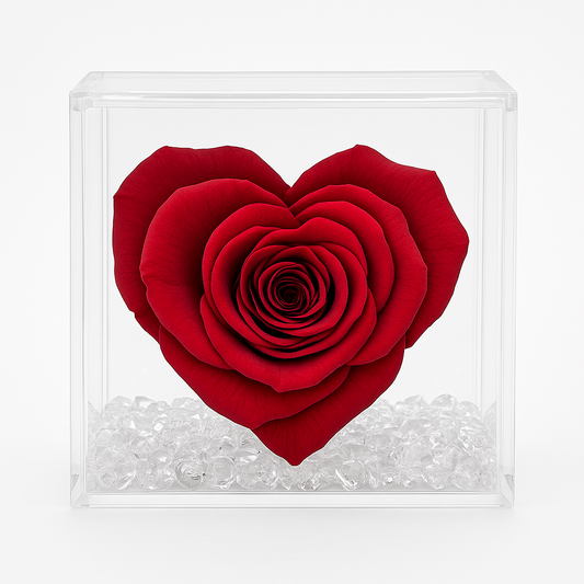 Rosa stabilizzata cuore rosso dimensioni 8x8