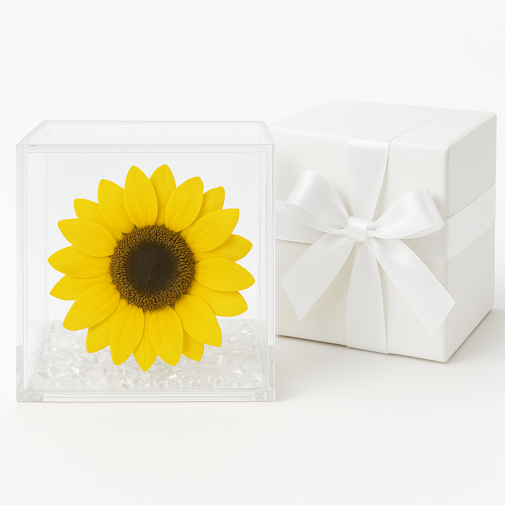 Girasole stabilizzato dimensioni 8x8