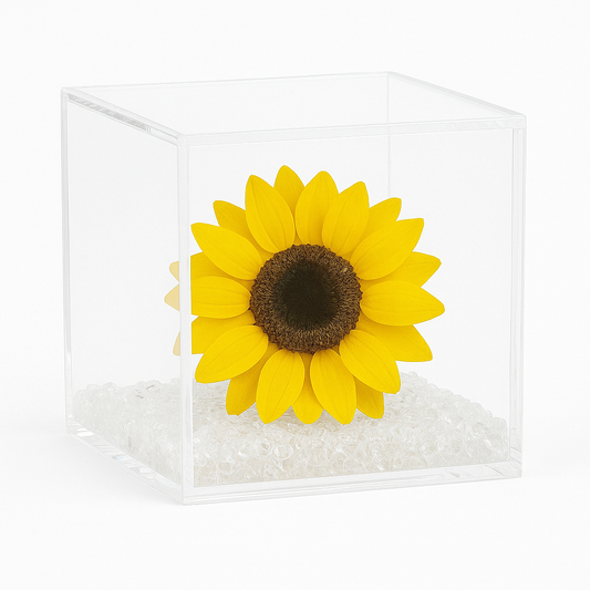 Girasole stabilizzato dimensioni 8x8