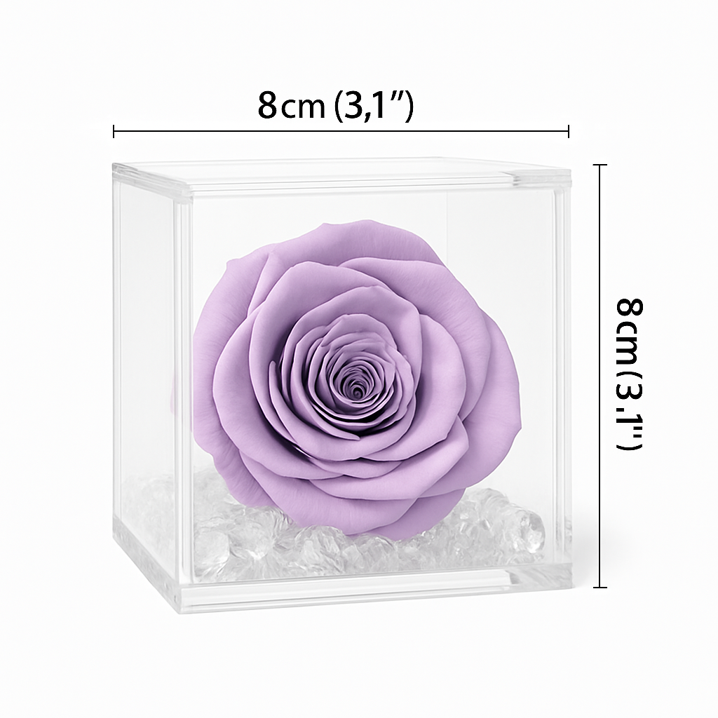 Rosa stabilizzata lilla dimensione 8x8