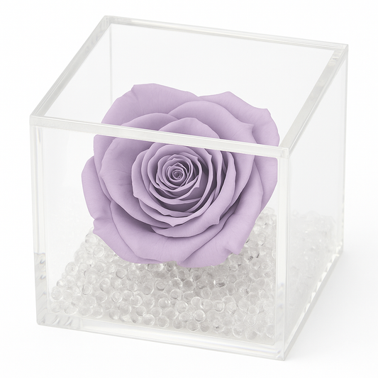 Rosa stabilizzata lilla dimensione 8x8