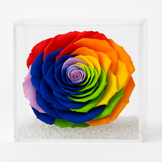 Rosa stabilizzata Multicolor dimensione 14x14