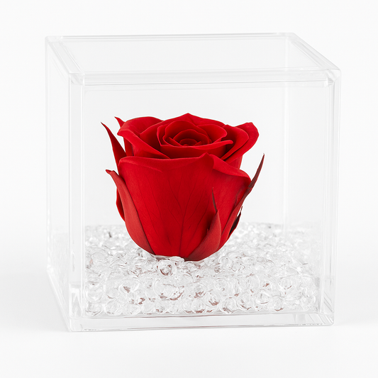 Rosa stabilizzata mini baby 4x4