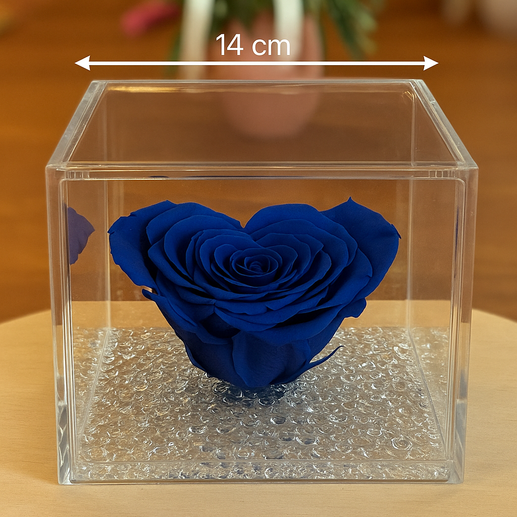 Rosa Stabilizzata a Cuore Grande in Cubo Plexiglass dimensione 14x14