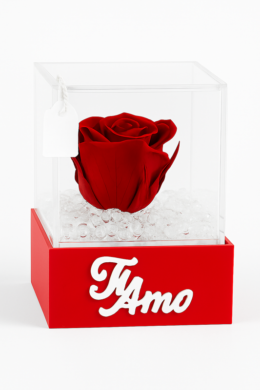 Rosa rossa stabilizzata in Cubo Ti amo
